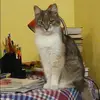 Отзыв от Ольга Бородина